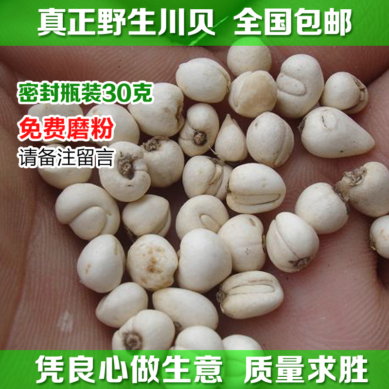 四川直销 正品野生川贝松贝川贝母 珍珠贝尖贝中药材30g 特价包邮