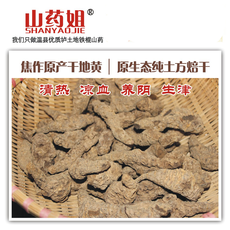 山药姐 河南温县新鲜地黄 生地黄中药材 农家自种怀地黄 包邮