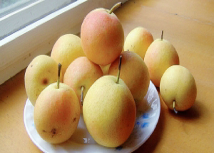 ˳Ϲ涫ɽϹСˮ氲ˮ2500g
