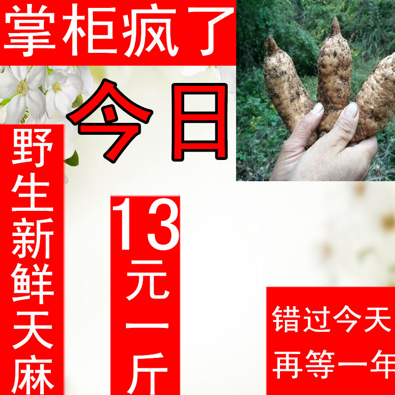 天天特价野生天麻 湿天麻 冬麻 新鲜天麻 天麻素最高 3斤包邮