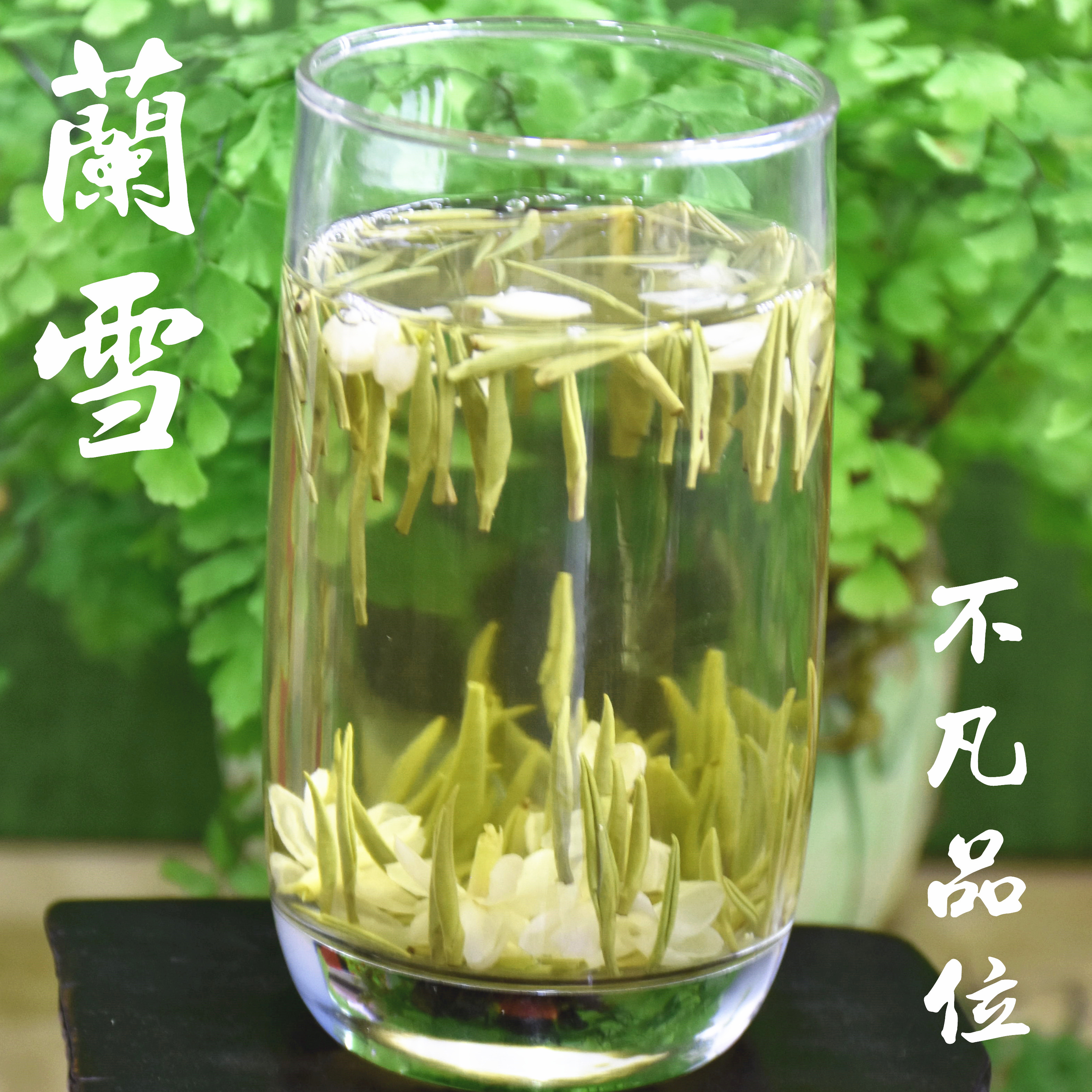 碧潭飘雪特级