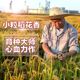 【天猫超市】御香龙品 中华小粒稻花香5kg 东北大米 2016年新米