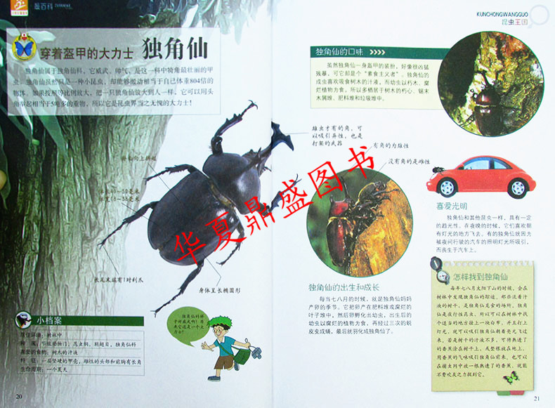 包邮 昆虫王国 令孩子着迷的百科王国 小学生爱读本最