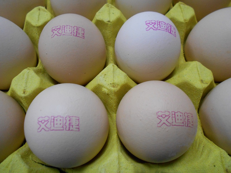 广东艾迪捷多喷头喷码机多行鸡蛋打码机在线整托鸡蛋喷印厂家直销