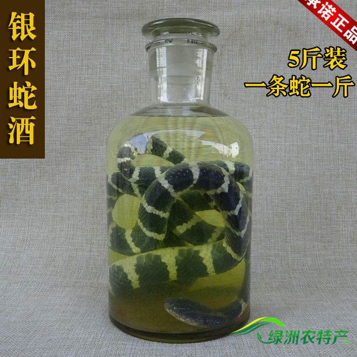 陈年深山老蜈蚣酒野生蜈蚣药酒农家自制外用药酒通络去风窖藏1斤