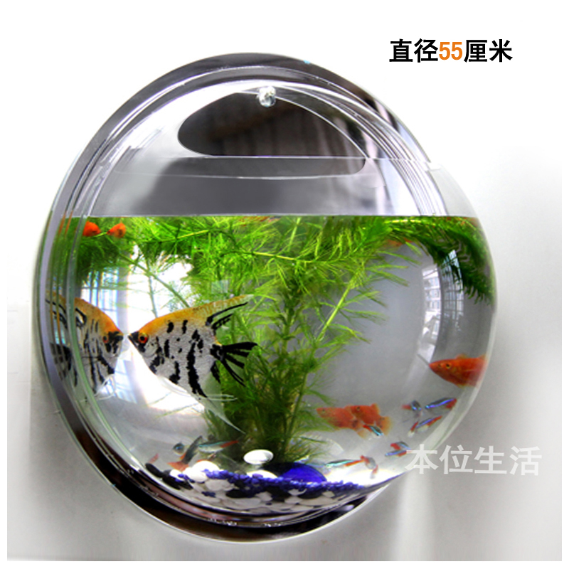 热带鱼鱼缸水族箱