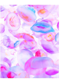 北欧风海报梦幻少女心法式浪漫复古红玫瑰设计师植物插画 装饰画