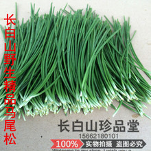 包邮 长白山野生松针茶新鲜松针叶红松针五针松针马尾松针酵素500g