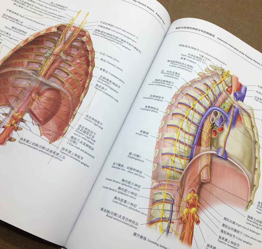 人体解剖学医学书籍可搭解剖列车人体解剖彩色图谱全彩人体解剖学图谱