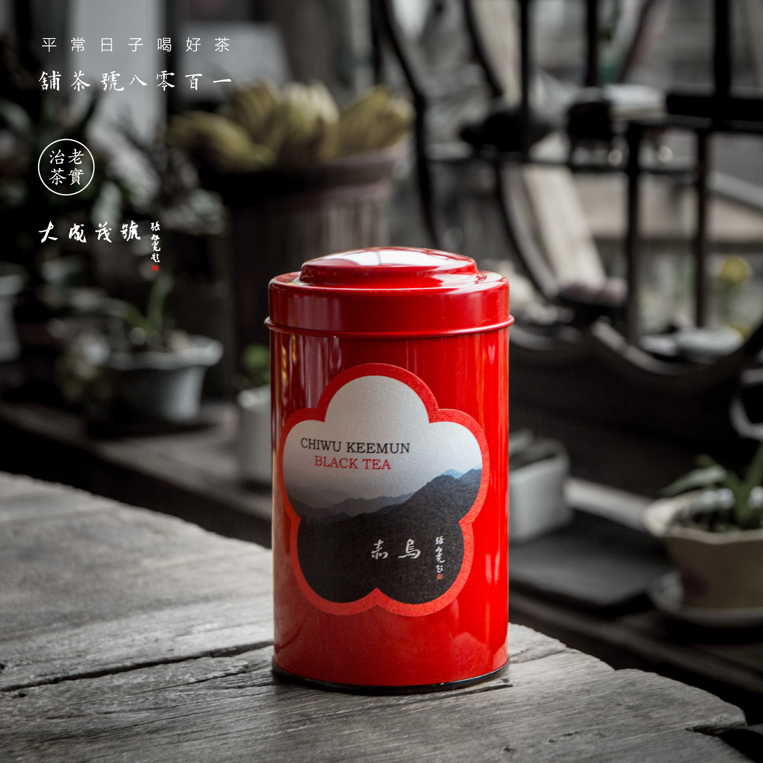 大成茂号 红罐赤乌 80g装 毛峰类祁门红茶 谷雨茶 108TEA 包邮