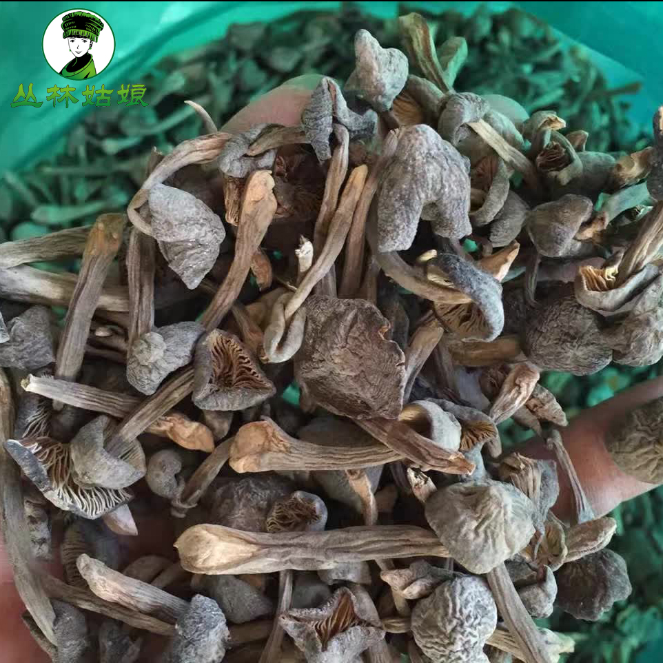新鲜黑皮鸡枞菌云南精选去脚鸡枞菇非干货野生菌蘑菇500g顺丰包邮