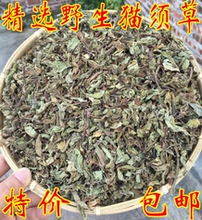 高尿酸双降茶排酸茶尿酸高猫须草绛酸茶 养生茶500g 双七茶降酸茶