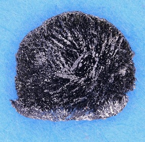 1g黑磷晶体