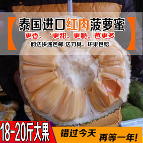 [折扣]新鲜菠萝蜜肉正品 菠萝蜜肉怎么保存购买