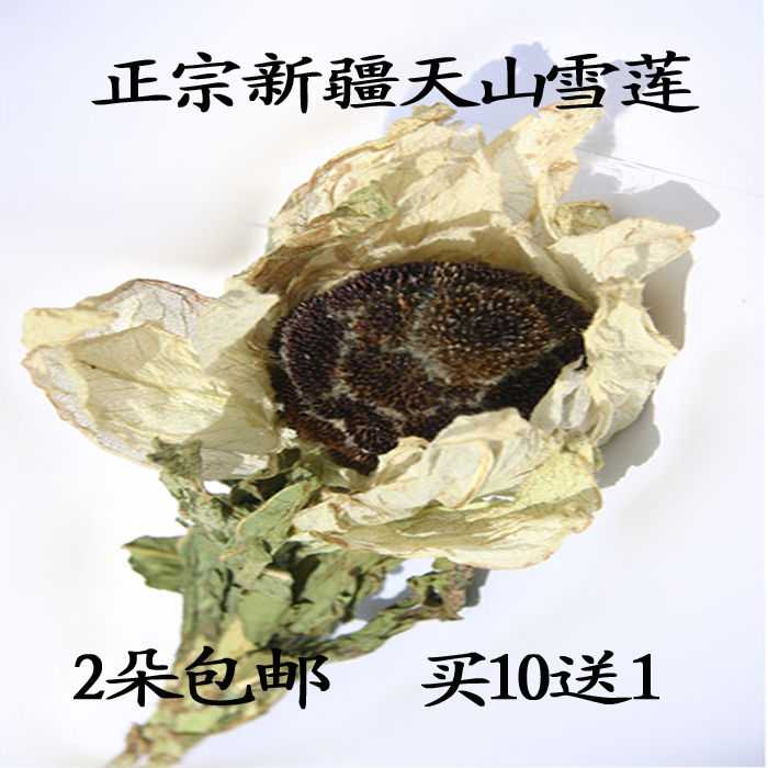 新疆天山野生雪莲正品 雪莲花 雪莲王高海拔中药材煲汤泡酒包邮