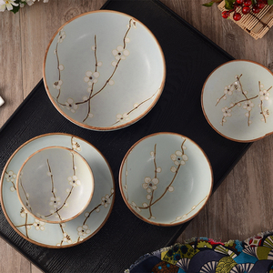 日本进口陶瓷餐具