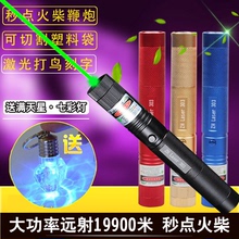 包邮 303大功率激光手电绿光激光灯教鞭笔镭射灯绿外线远射打鸟