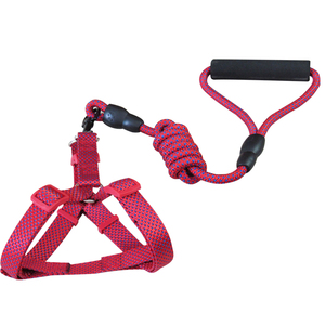 狗狗牵引绳狗链子项圈