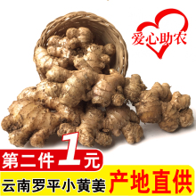 包邮 云南特产罗平小黄姜3斤新鲜生姜老姜土姜月子姜 天天特价