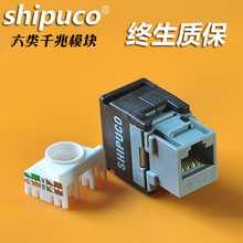 RJ45六类千兆信息模块达标 镀金CAT6网络模块 正品 SHIPUCO原装