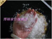 填充物 羽绒被制品 鹅绒散装 国标90%白鸭绒大朵小朵羽绒