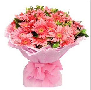 深圳生日节日鲜花太阳花花束宝安布吉福田龙岗订花节日生日同城送