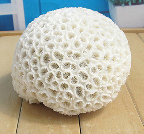 ʯɺ20-40cm ɺݱǺˮ쾰