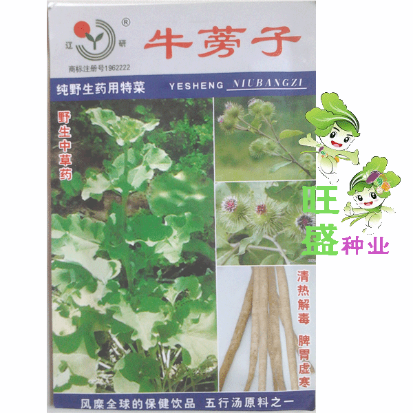 【中药材】野生牛蒡子种子 纯野生药用特菜 中草药材 五行汤原料