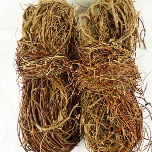 广西野生新货鸡骨草 鸡骨草叶相思叶大黄草根干货煲汤料无硫包邮