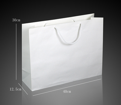 卓斯漫 纸袋 礼品袋 200g白牛皮 大号尺寸10个17.5元