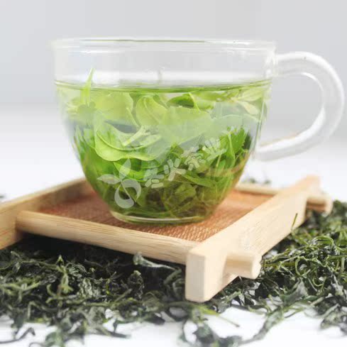 冬火 2016新茶叶 黄山毛峰 高山云雾 小叶苦丁茶 500g 青山绿水