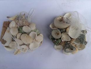 网袋装 贝壳 鱼缸石 观赏品 装饰品 玩具 万辉百货