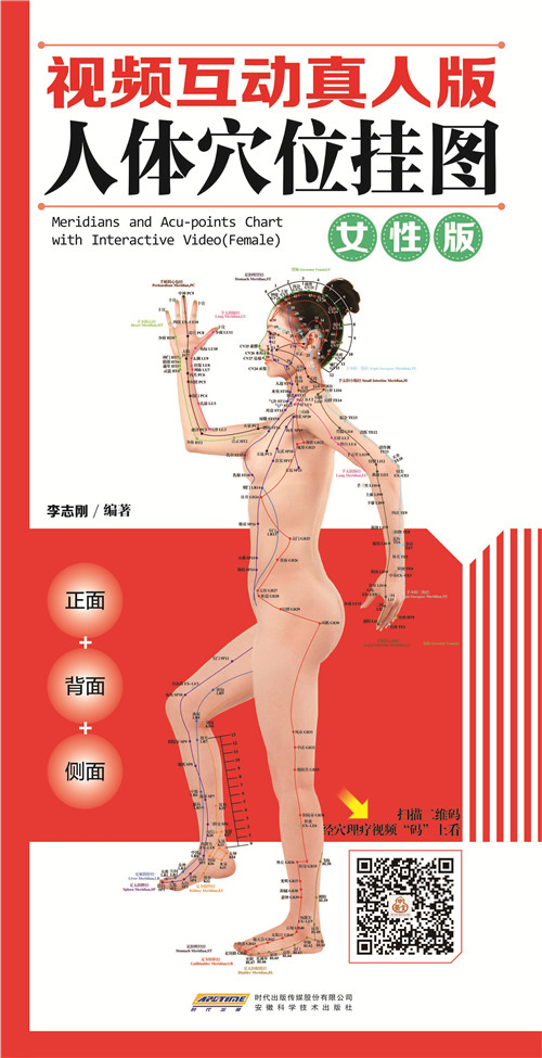 视频真人版人体穴位挂图(女性版)人体反射区高清图册 经络穴位 清晰