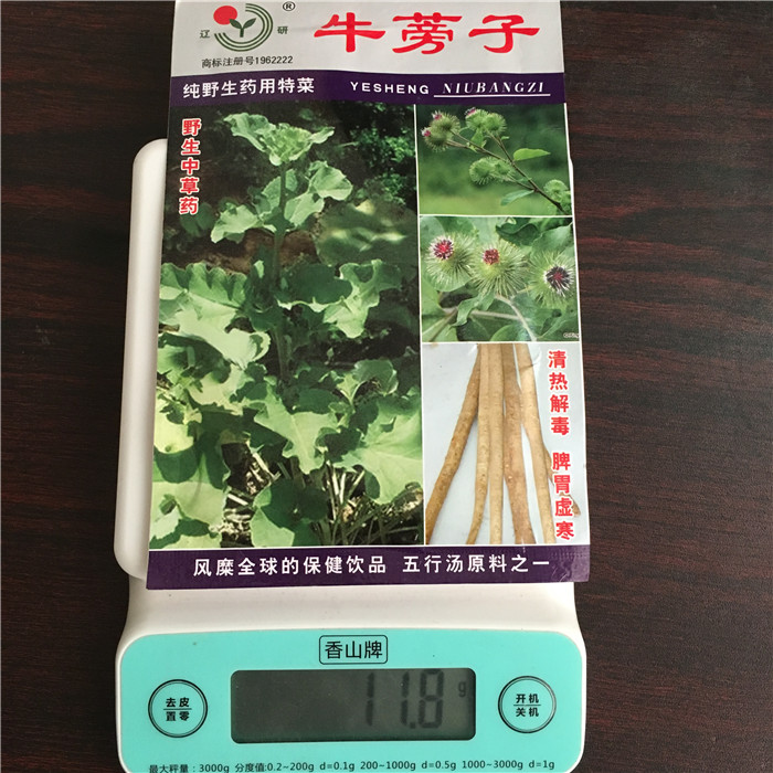【原厂彩包牛蒡子11.8克】蔬菜種 花卉種 地盆栽 阳台果蔬青菜种