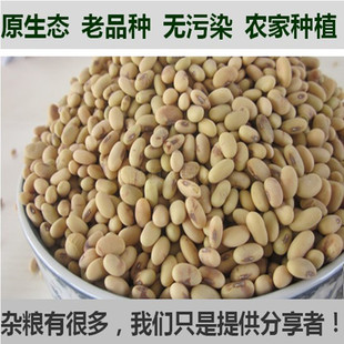 农家自种老品种肾形扁黄豆非转基因豆浆专用醋泡发芽小黄豆250g