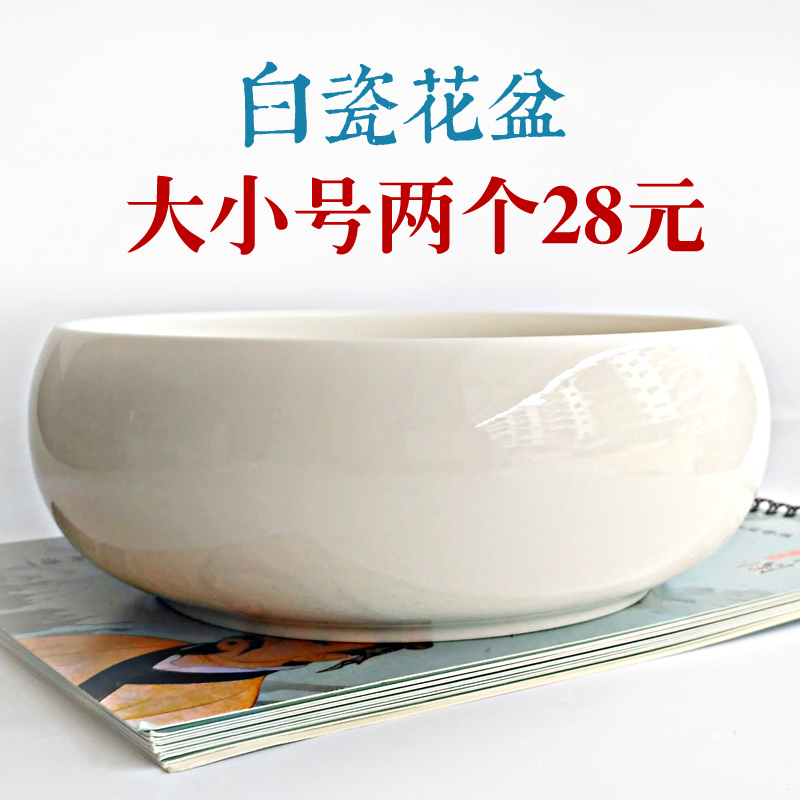 水培植物花盆  水仙 睡莲 碗莲 金钱草盆 大号白色陶瓷无孔多肉盆