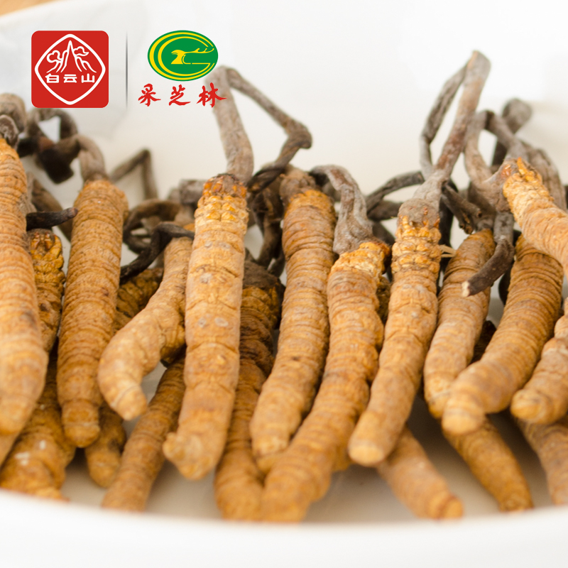 采芝林冬虫夏草 西藏那曲虫草3条/g新草虫草礼盒定制包邮