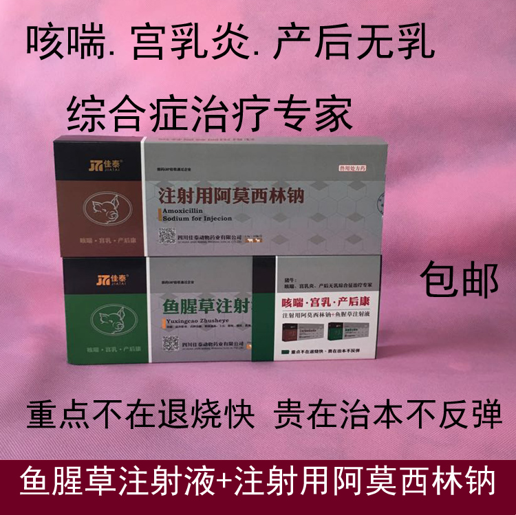 兽药批发猪牛羊696咳喘宫乳产后康鱼腥草1g注射用阿莫西林钠消炎