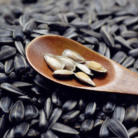 正品[黑珍珠瓜子]黑珍珠小瓜子评测 穆盈大胆黑珍珠图片_惠惠购物