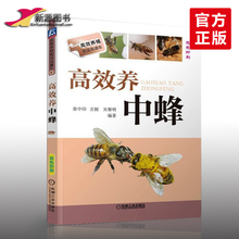 中华蜂土蜂中蜂饲养新技术 中蜂养殖技术书籍 技术书籍 养蜂书 高效养中蜂 养蜂书籍全套实用手册 蜜蜂养殖技术书籍 2017全新正版