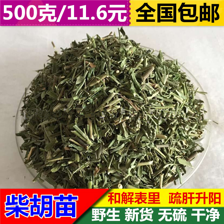 柴胡苗 中药材 春柴胡 新货 竹叶柴胡苗 无硫 香柴胡苗 500克包邮