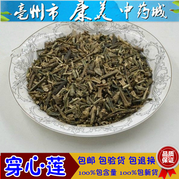 穿心莲中药材 500g 野生干穿心莲 新货 中药材穿心莲 中药材