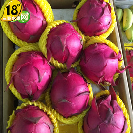 推荐最新三亚58同城网租房 三亚58同城网信息