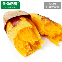 烤红薯超甜山芋5斤 包邮 板栗香薯地瓜 2017农家现挖新鲜红薯番薯