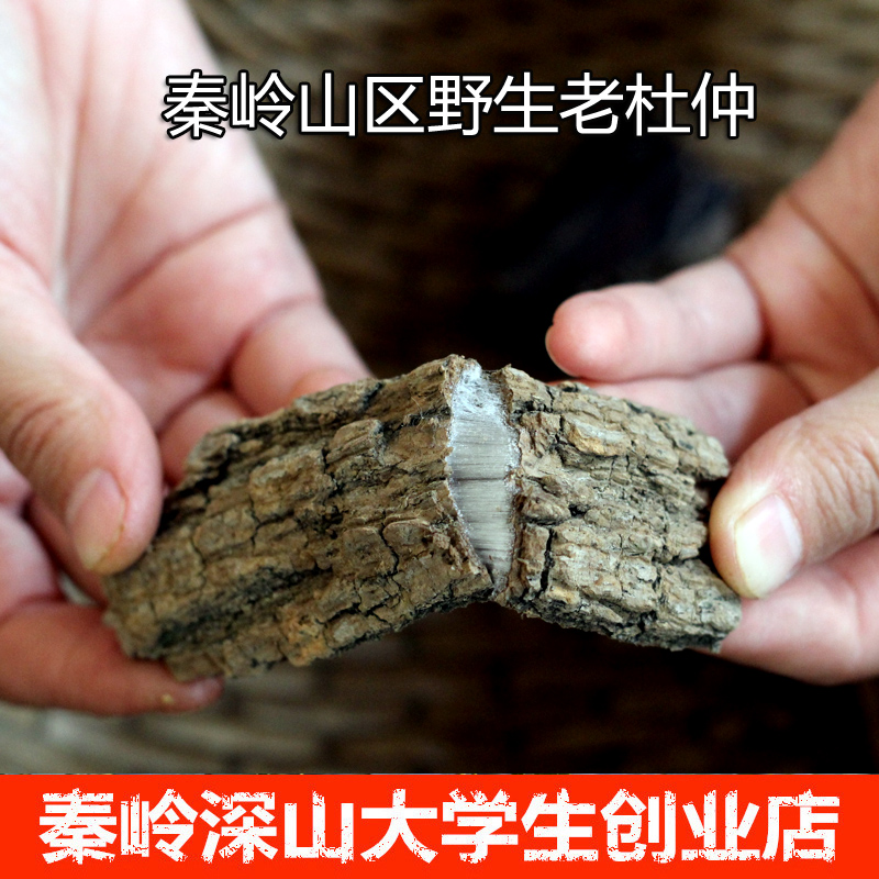 新货 秦岭山区野生 多年生厚皮杜仲泡酒 煲汤 入药 强筋骨250g