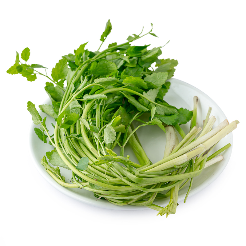 正品[土豆网 韩剧 黄手帕]土豆网黄手帕评测 韩