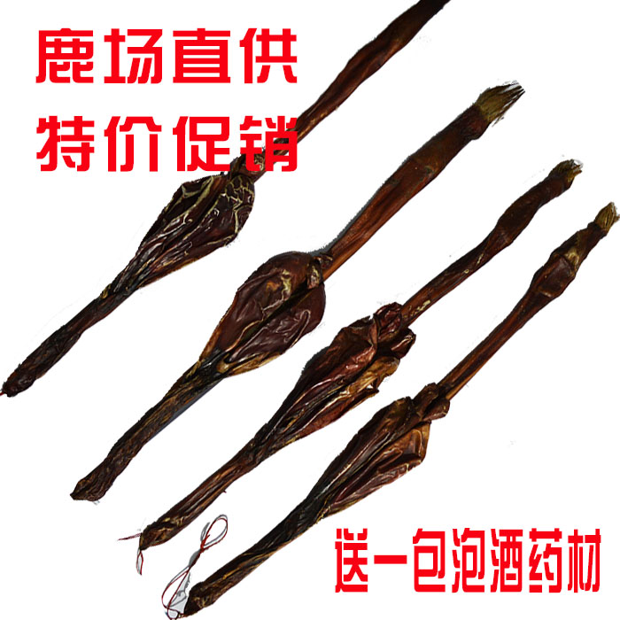 梅花鹿鞭精选鹿鞭2015年新货泡酒首选鹿鞭特价包邮 送10克鹿茸片