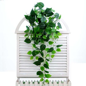 仿真植物壁挂仿真绿植