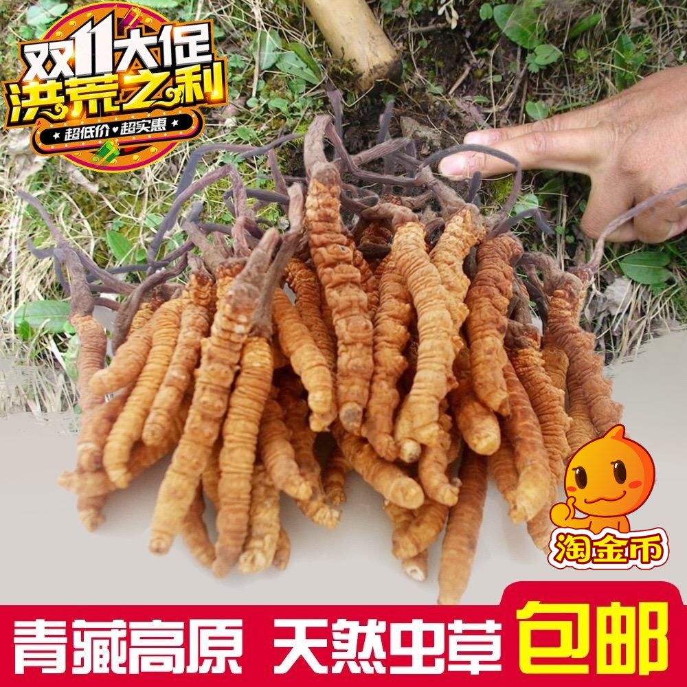 野生精选冬虫夏草青海玉树正宗虫草6.8根无断草20根起包邮发货