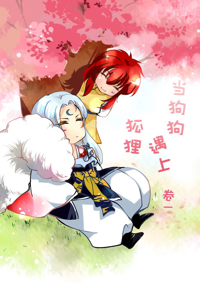 正品[杀生丸海报]杀生丸评测 穿越之爱上杀生丸